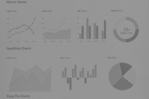 Data Visualization with D3.js by TODO